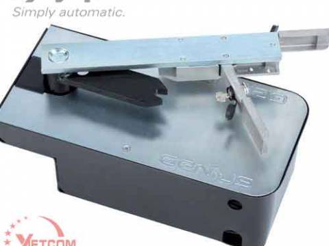 Motor cổng âm sàn FAAC DIABLO 24v/250kg